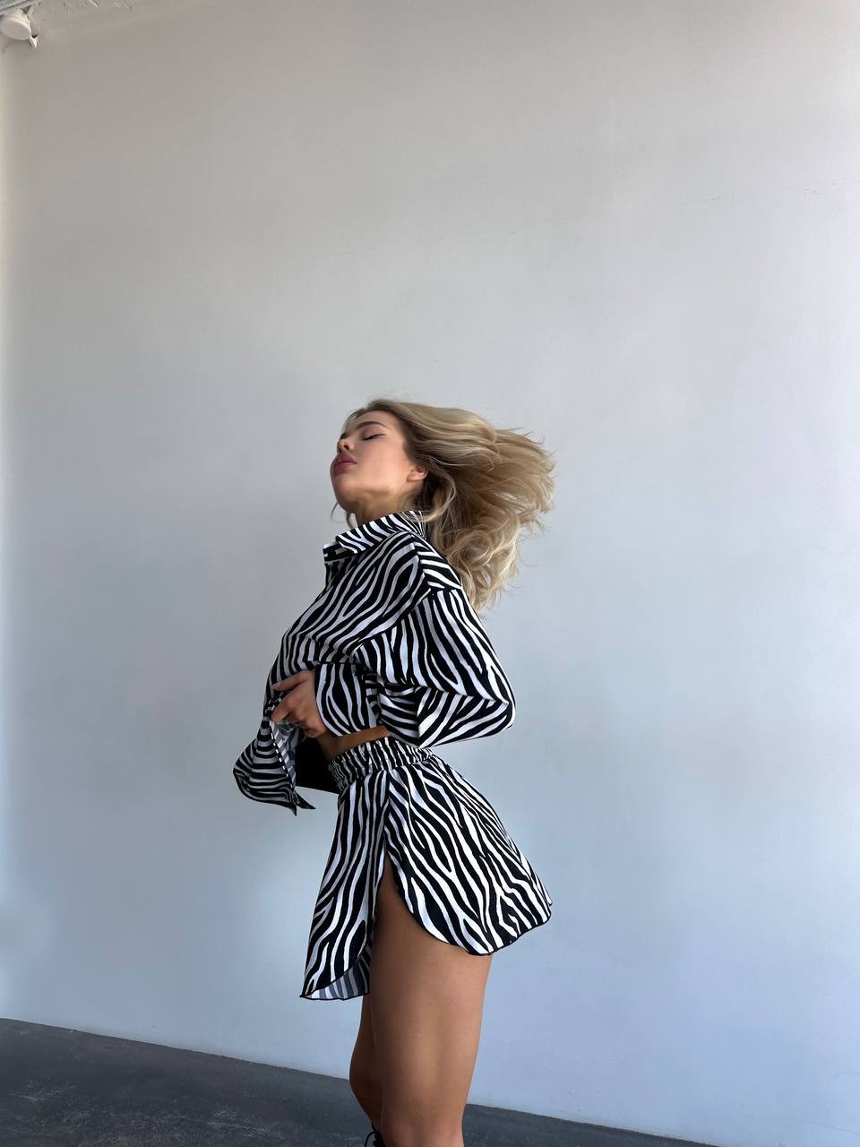 ZEBRA SET