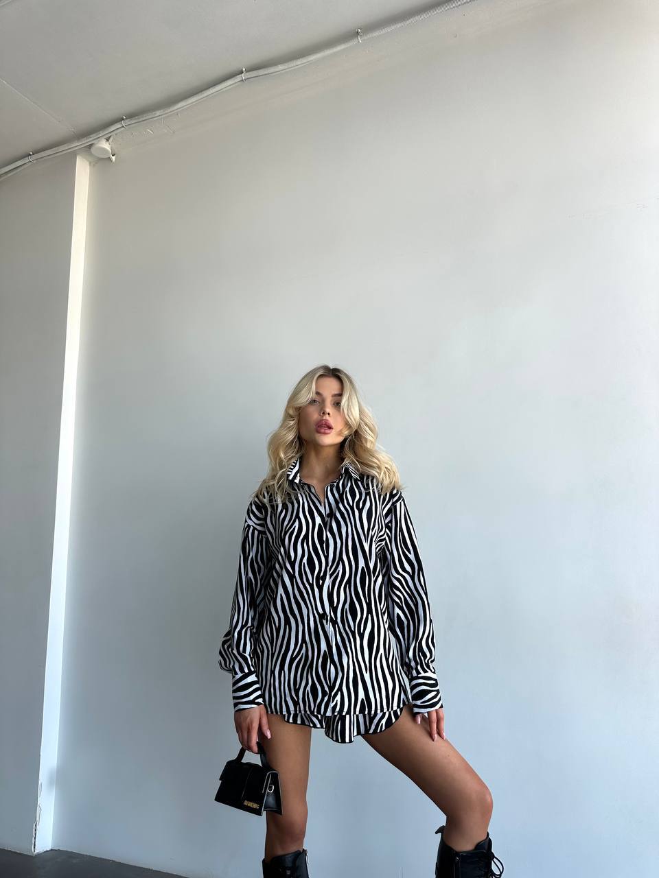 ZEBRA SET
